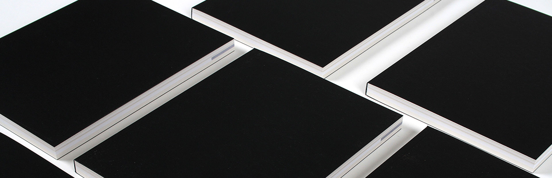 Projet Éditorial : La société du Regard